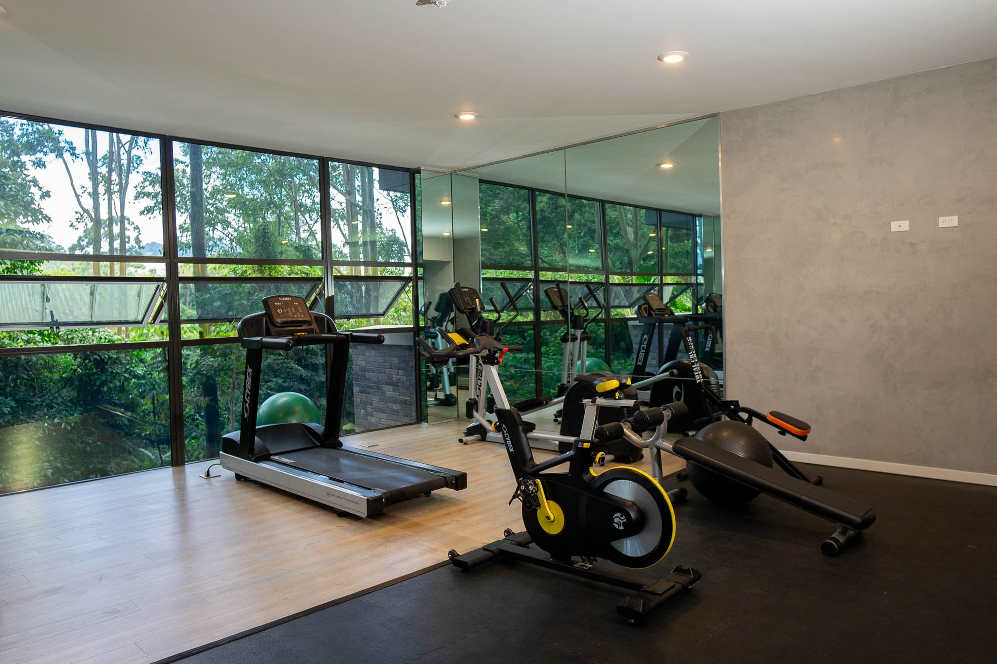 EL GIMNASIO